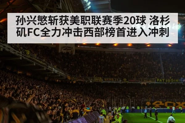 soccer stadium crowd night